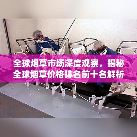 全球煙草市場深度觀察，揭秘全球煙草價格排名前十名解析