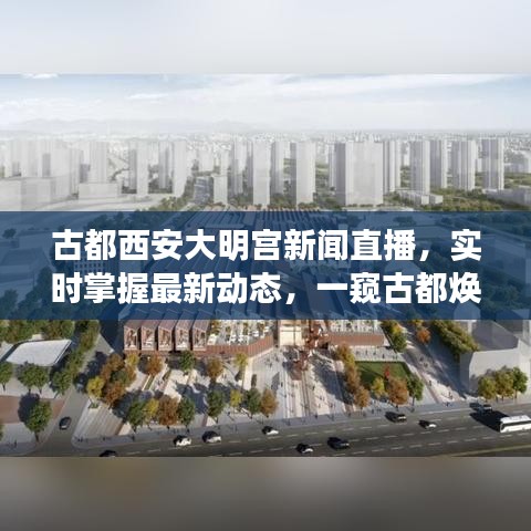 古都西安大明宮新聞直播，實(shí)時(shí)掌握最新動(dòng)態(tài)，一窺古都煥新貌風(fēng)采