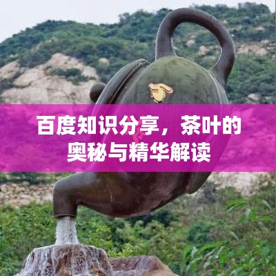 百度知識(shí)分享，茶葉的奧秘與精華解讀