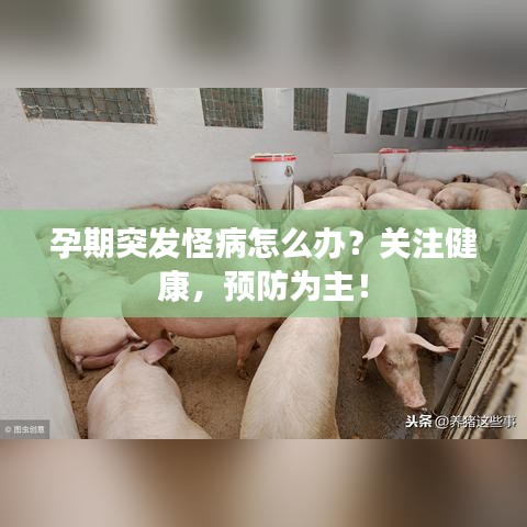孕期突發(fā)怪病怎么辦？關(guān)注健康，預(yù)防為主！