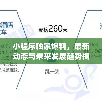 小程序獨(dú)家爆料，最新動(dòng)態(tài)與未來發(fā)展趨勢(shì)揭秘