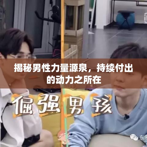 揭秘男性力量源泉，持續(xù)付出的動(dòng)力之所在