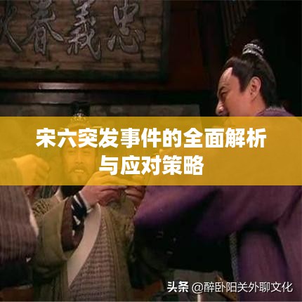 宋六突發(fā)事件的全面解析與應(yīng)對策略
