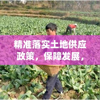 精準(zhǔn)落實土地供應(yīng)政策，保障發(fā)展，守護(hù)耕地安全