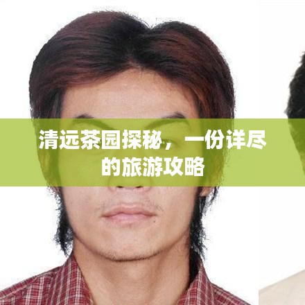 清遠(yuǎn)茶園探秘，一份詳盡的旅游攻略