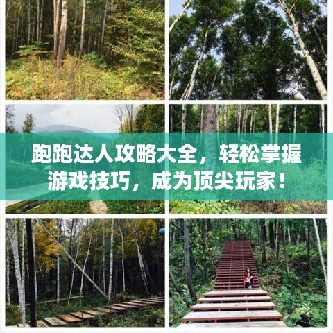 跑跑達人攻略大全，輕松掌握游戲技巧，成為頂尖玩家！