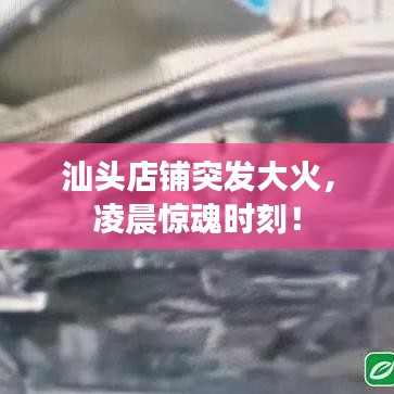 2025年6月11日 第3頁