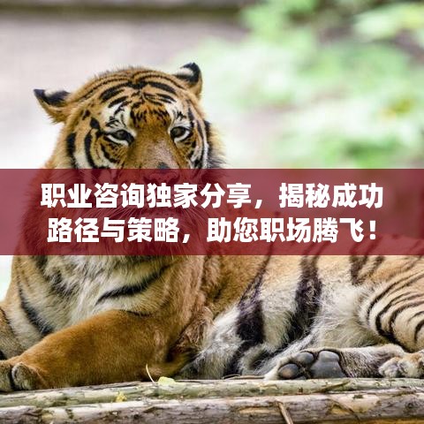 職業(yè)咨詢獨(dú)家分享，揭秘成功路徑與策略，助您職場(chǎng)騰飛！