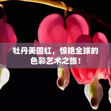 牡丹美國(guó)紅，驚艷全球的色彩藝術(shù)之旅！