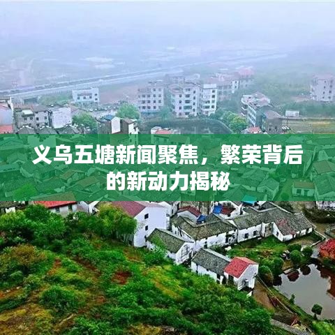 義烏五塘新聞聚焦，繁榮背后的新動力揭秘