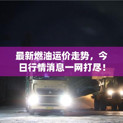 最新燃油運價走勢，今日行情消息一網(wǎng)打盡！