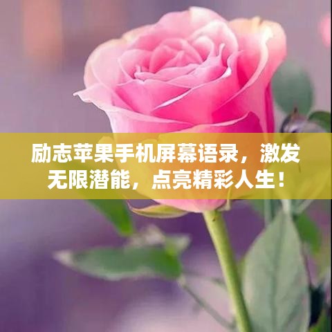 勵(lì)志蘋果手機(jī)屏幕語錄，激發(fā)無限潛能，點(diǎn)亮精彩人生！