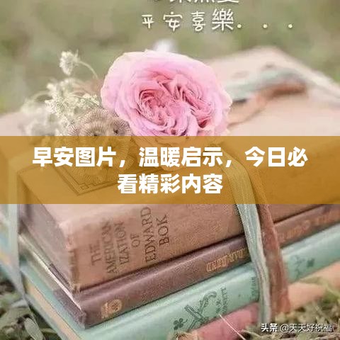 早安圖片，溫暖啟示，今日必看精彩內(nèi)容